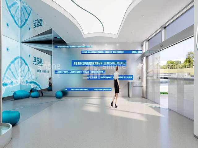 天津pet离型膜推荐厂家